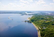 Як можна врятувати Запорізьке водосховище від цвітіння?