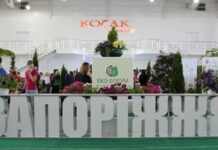 Щорічний екологічний форум в Запоріжжі – джерело екологічних новацій в місті