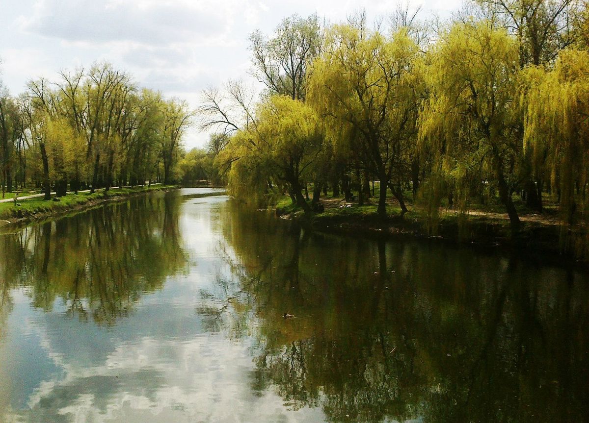 дубовий гай