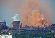 Ворон ворону око не виклює… або трохи про екологічні ініціативи в Запоріжжі