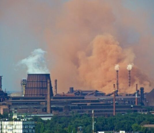 Ворон ворону око не виклює… або трохи про екологічні ініціативи в Запоріжжі