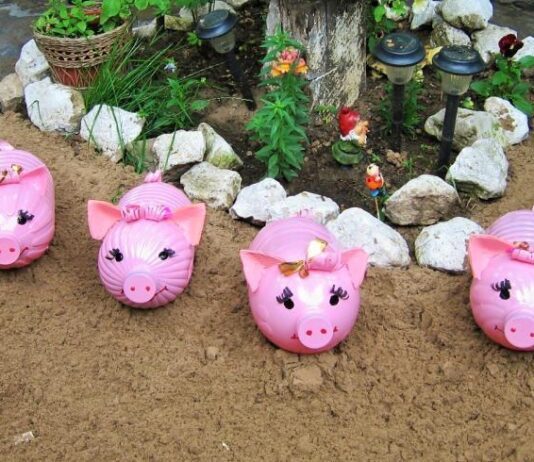 А-ФЕСТ: апсайклінг в Запоріжжі