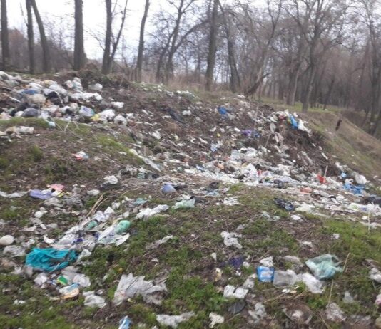 Як запоріжцям заробляти на смітті