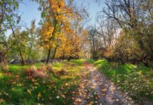 Де в Запоріжжі провести час на природі