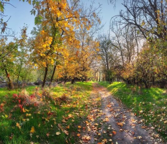 Де в Запоріжжі провести час на природі