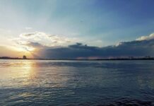 Що запоріжці можуть зробити для захисту навколишнього середовища