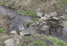 У Запоріжжі придумали, як очищати річкову воду