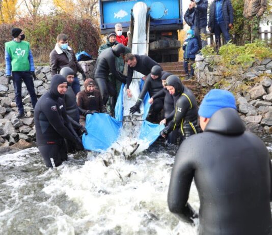 Головні екотренди Запоріжжя