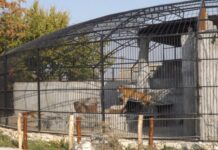 Найкращі зоопарки Запорізької області