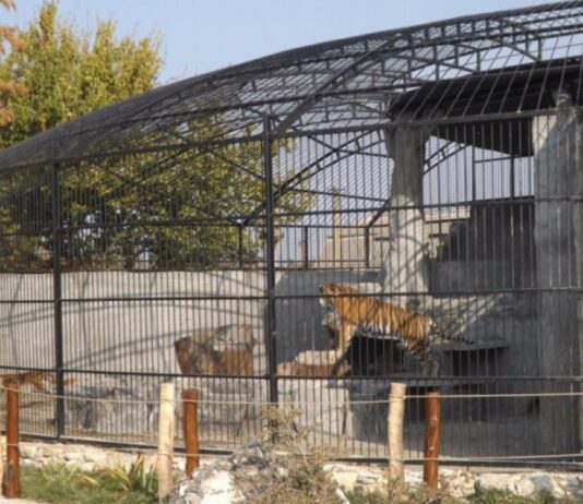 Найкращі зоопарки Запорізької області