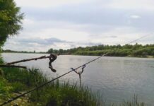 Рибні місця Запоріжжя