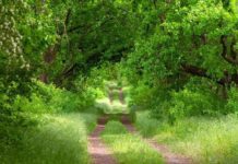 «Хортицький лабіринт» – один з туристичних об’єктів Запоріжжя