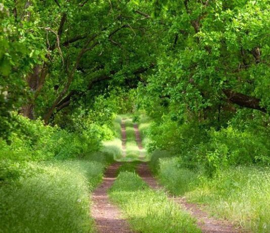 «Хортицкий лабиринт» – один из туристических объектов Запорожья