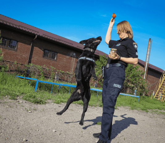 Службовий пес Арчі допомагає запорізьким поліцейським