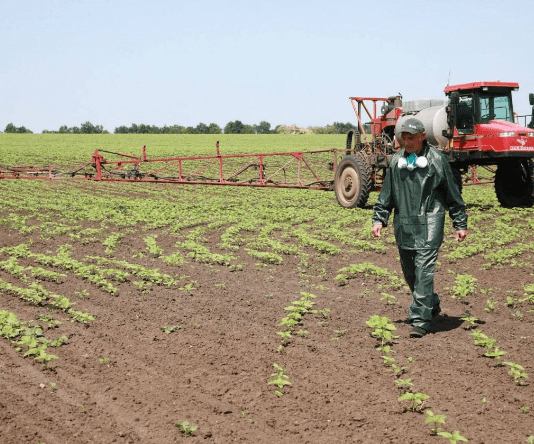 Фермерські господарства Запорізької області: яка ситуація з посівною в умовах війни