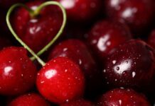 Солодкі гроші: як мелітопольська черешня змінила регіон і збагатила селян