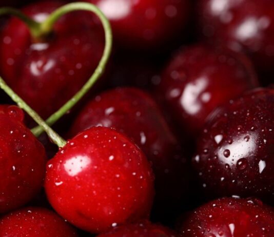 Сладкие деньги: как мелитопольская черешня изменила регион и обогатила крестьян