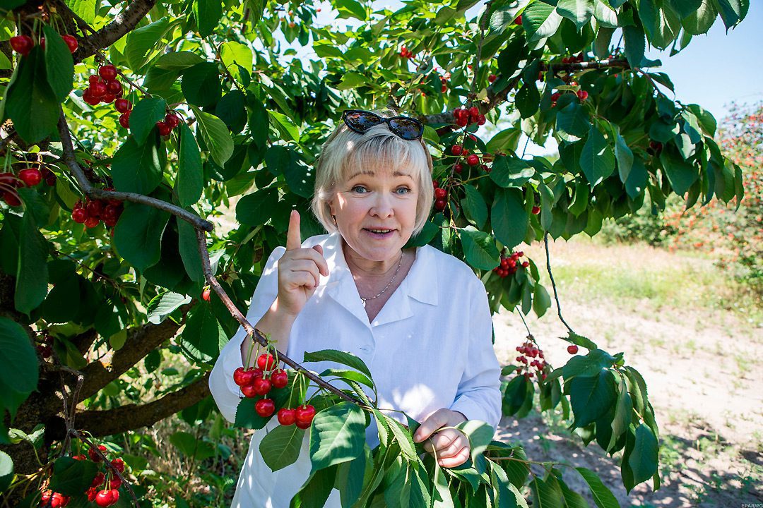 Фото: Александр Медведев