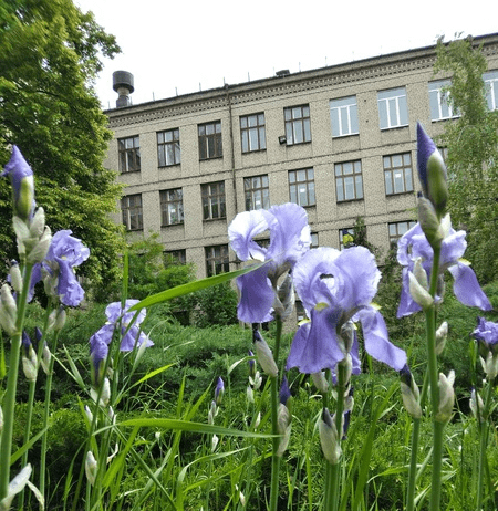 Історія запорізької еко-школи