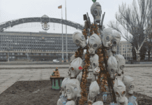 Дерево з протигазом: історія протестного еко-символа Запоріжжя