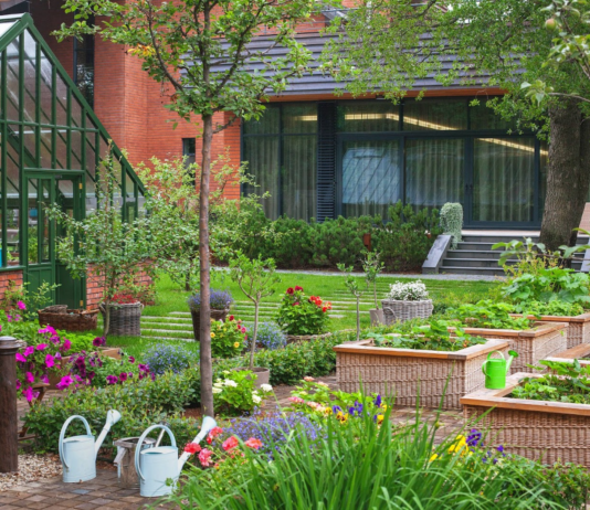 Все, що потрібно знати про крапельний полив – від видів до застосування