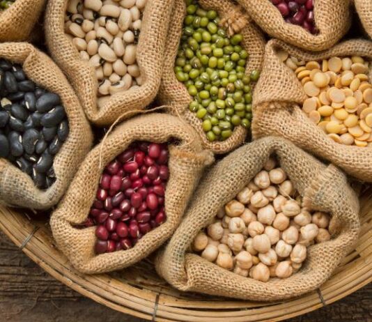 Широкий вибір насіння за найдоступнішими цінами