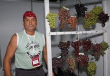 Як колишній важкоатлет побудував тепличний комплекс?