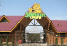 Історія приватного зоопарку “Сафарі”