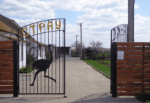 “Страус-Південь”: історія ферми із Мелітополя