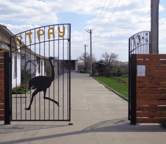 “Страус-Південь”: історія ферми із Мелітополя