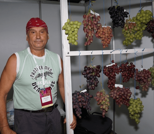 Як колишній важкоатлет побудував тепличний комплекс?