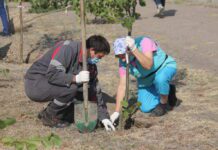 Як містяни долучаються до збереження довкілля Запоріжжя