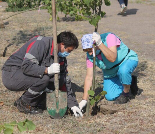 Як містяни долучаються до збереження довкілля Запоріжжя