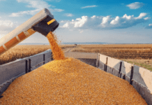 Клімат та аграрна галузь Запорізького регіону