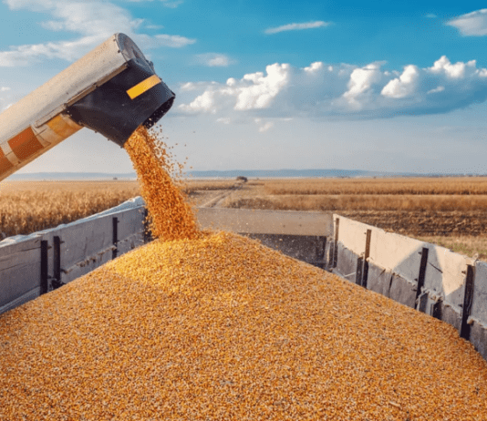 Клімат та аграрна галузь Запорізького регіону