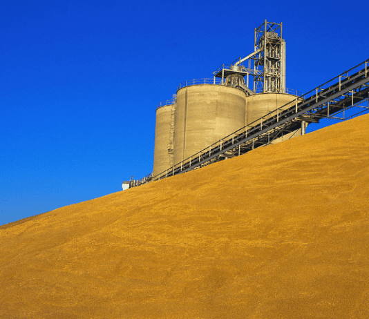 Про рекордний врожай в Запорізькому регіоні