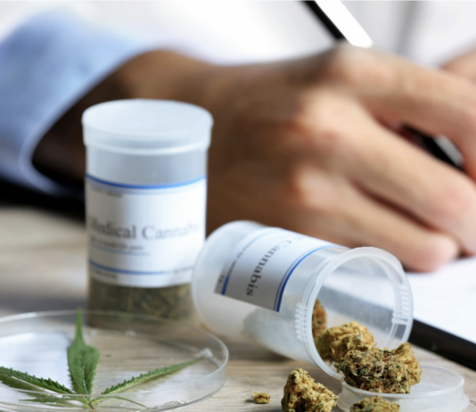 Де придбати насіння канабісу для медичних цілей у Запоріжжі, на що звернути увагу