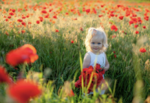 Запоріжжя: 7 перлин, які варто побачити