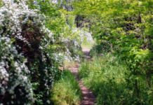 Найкращі природні локації для перезавантаження у Запоріжжі