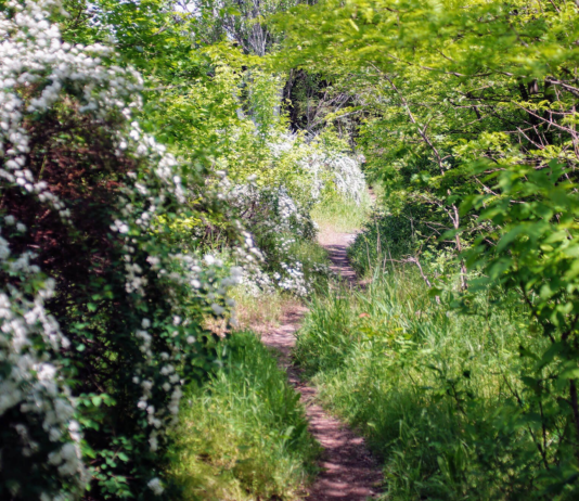 Лучшие природные локации для перезагрузки в Запорожье
