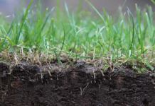 Стан ґрунтів в Запорізькій області