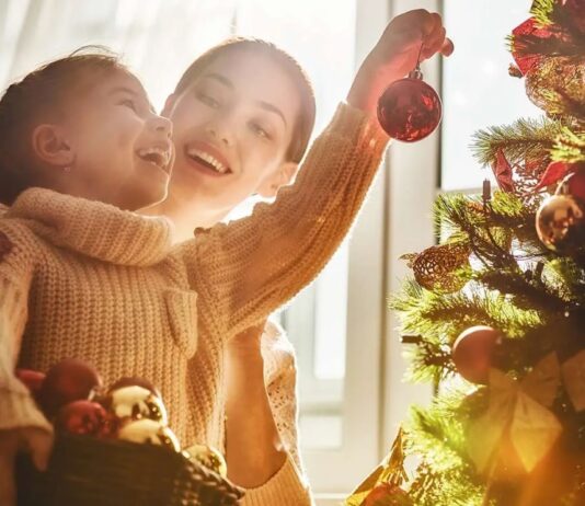 Новорічна атмосфера: де купити ялинку у Запоріжжі?