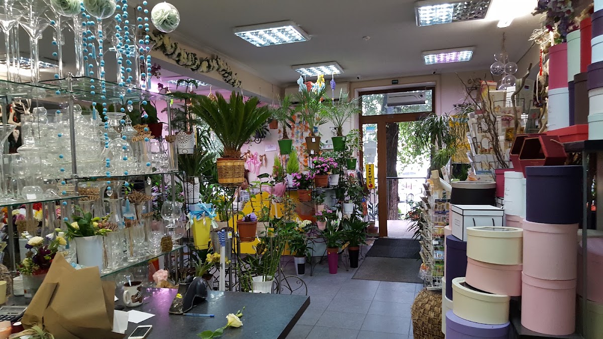 Крокус — Florist