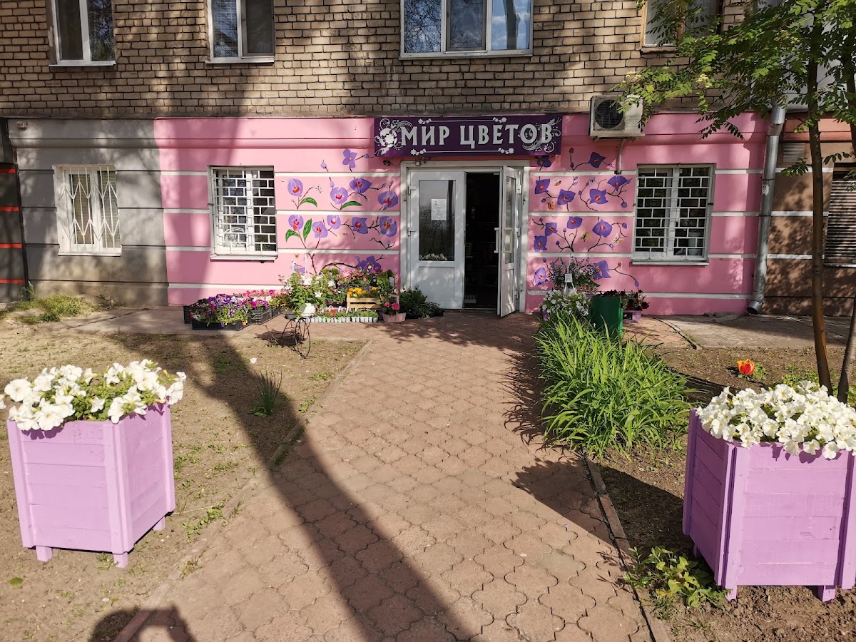 Свит цветов — Florist